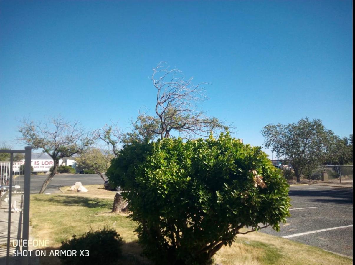 Willcox Extended Inn And Suites Εξωτερικό φωτογραφία